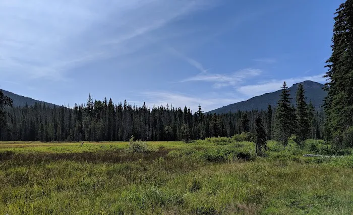 Olallie Meadow Campground Picture 4
