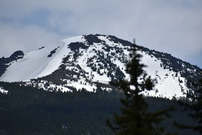 Olallie Meadow Campground Picture 2