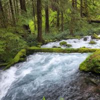 Olallie Campground ico