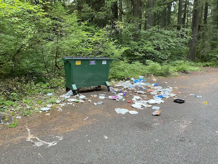 Olallie Campground Picture 7