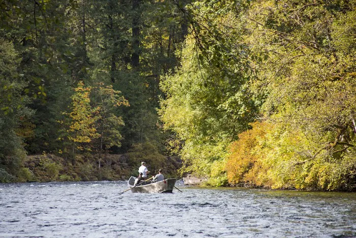 Olallie Campground Picture 10