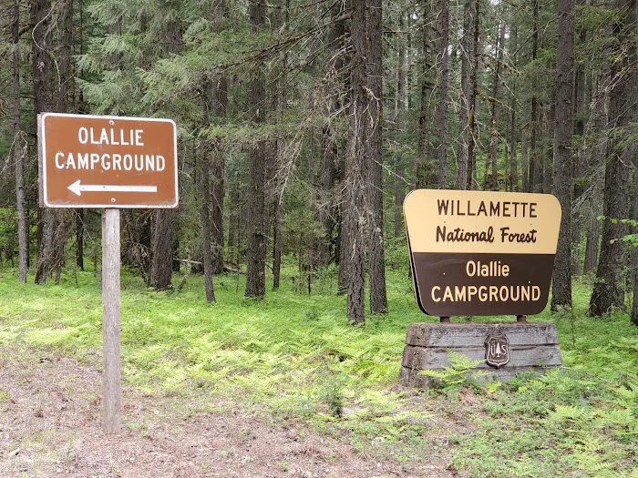 Olallie Campground Picture 8