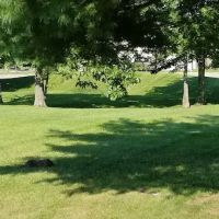 Youngstown ARS FamCamp ico