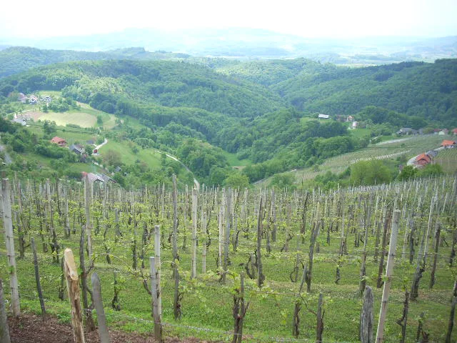 Youngstown ARS FamCamp Picture 4