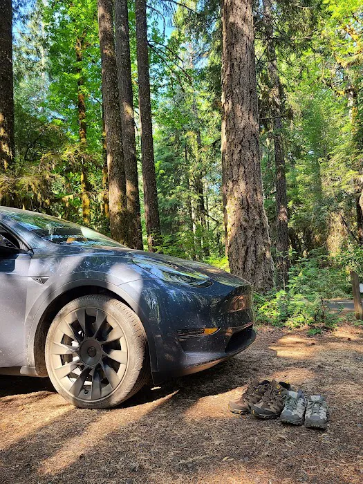 McKenzie Bridge Picture 1