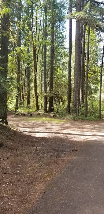 McKenzie Bridge Picture 3