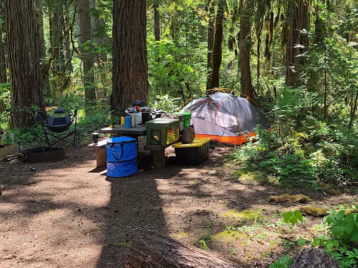 McKenzie Bridge Picture 9