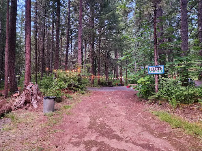 Mckenzie River Forest Retreat Outdoor Stays Picture 1