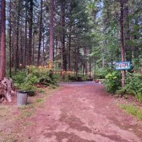 Mckenzie River Forest Retreat Outdoor Stays ico