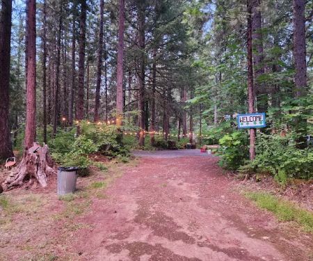 Mckenzie River Forest Retreat Outdoor Stays