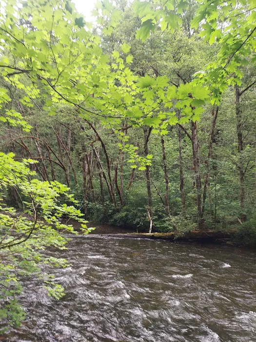 Horse Creek Group Campground Picture 8