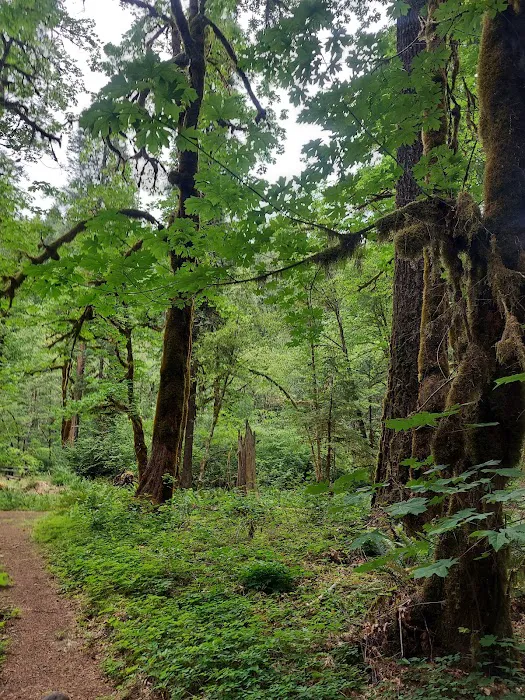 Horse Creek Group Campground Picture 3