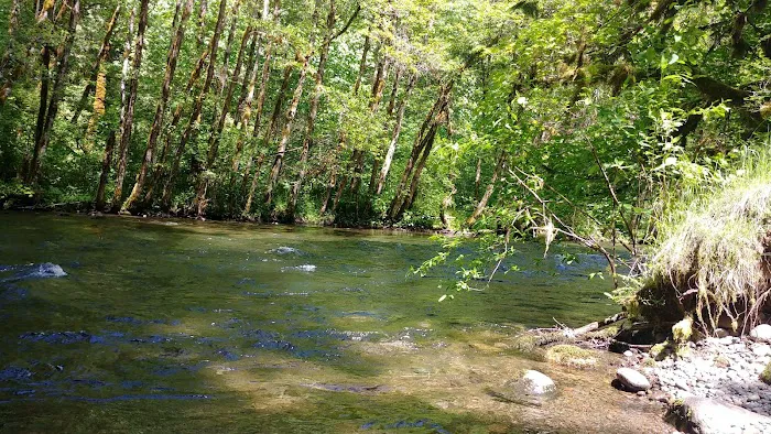 Horse Creek Group Campground Picture 7