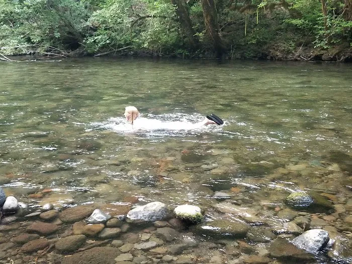 Horse Creek Group Campground Picture 2