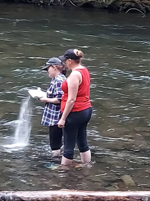 Horse Creek Group Campground Picture 4