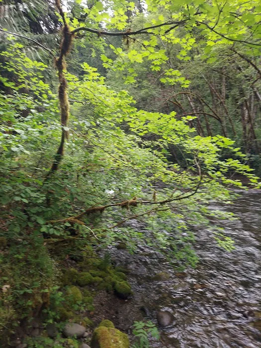 Horse Creek Group Campground Picture 6