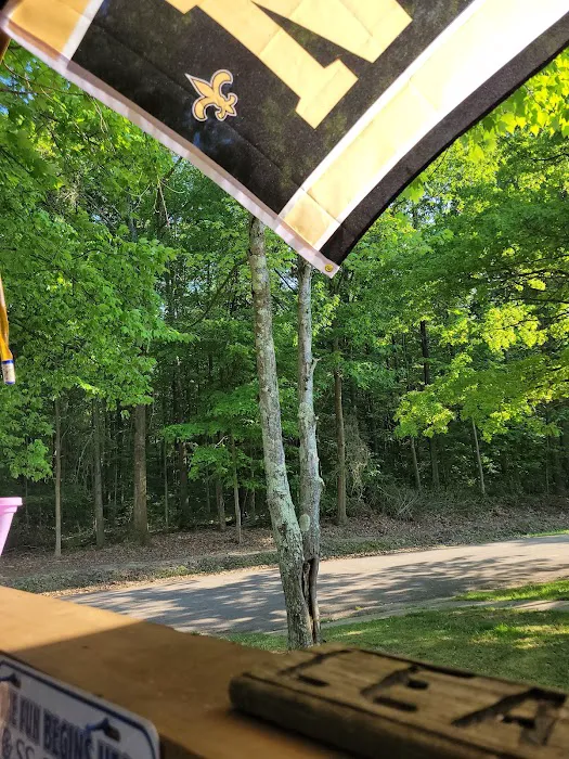 Vintage Village Mobile Home Park Picture 3