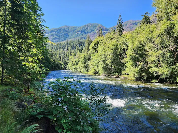 Paradise Campground Picture 5