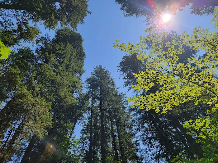 Paradise Campground Picture 9