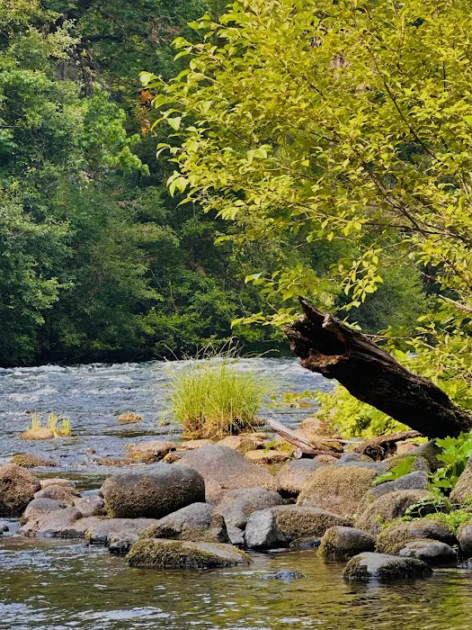 Paradise Campground Picture 2