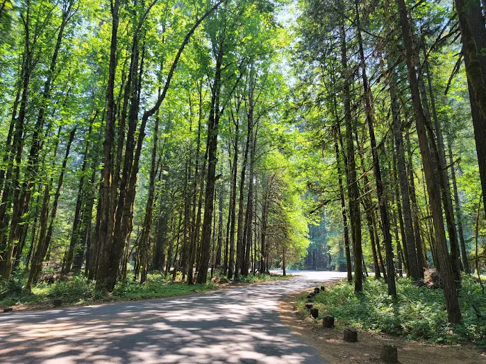 Paradise Campground Picture 8