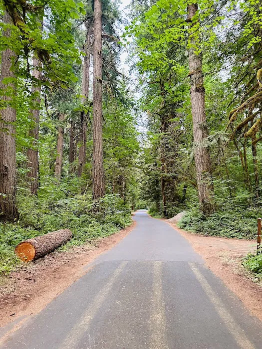 Paradise Campground Picture 6