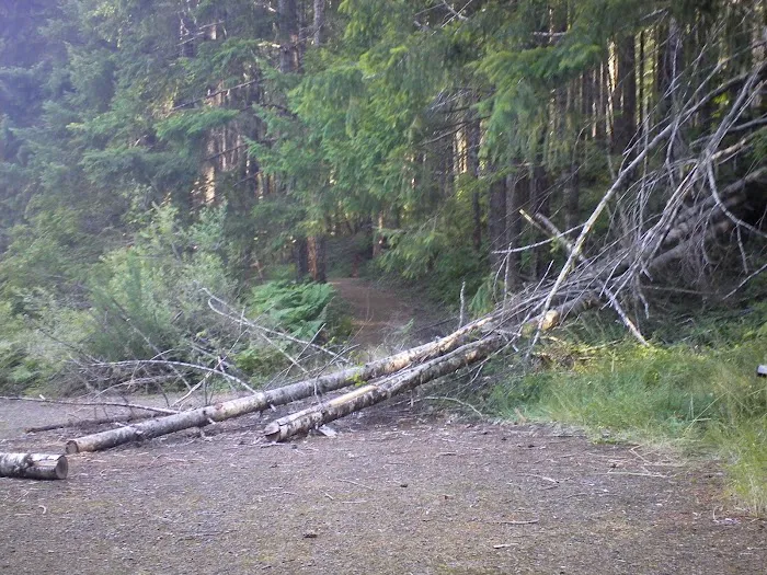 Slide Creek Campground Picture 3