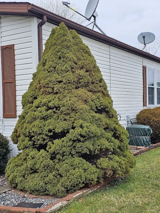 Westwood Lake MHC Picture 5