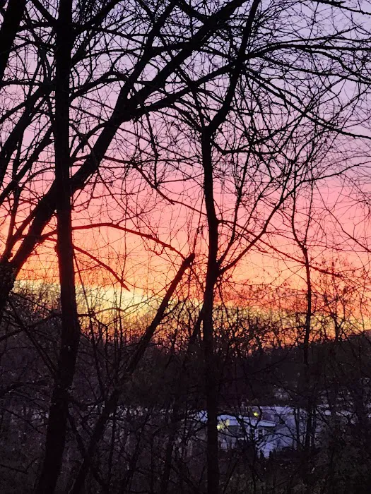 Westwood Lake MHC Picture 3