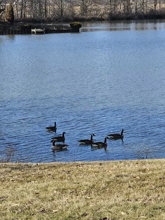 Westwood Lake MHC Picture 6