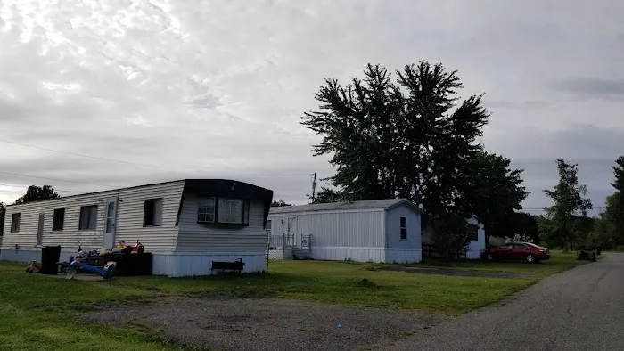 P M Estates Picture 1