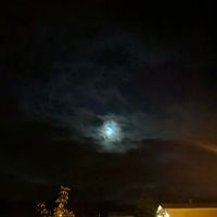 Blackbrook Valley Estates ico