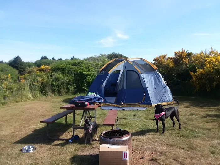 Screamin' Eagle Campground Picture 4