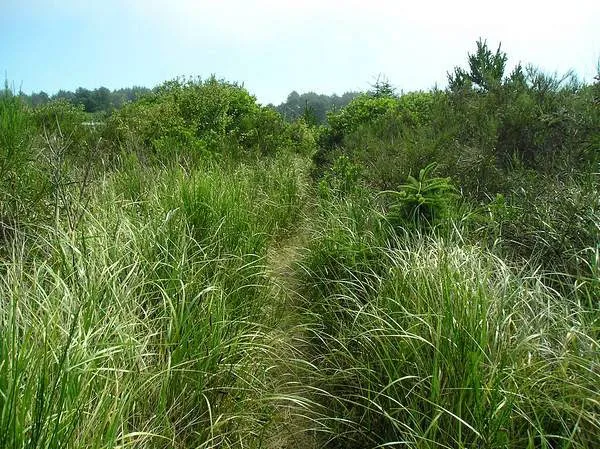 Thousand Trails Oceana Picture 5