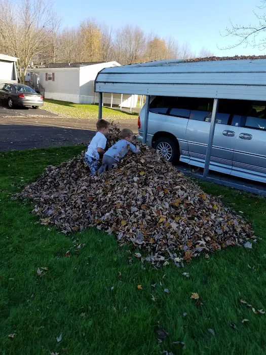 Blue Water Manor Picture 4