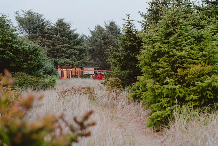 Papa Playa Beach Cabin Rental Picture 5