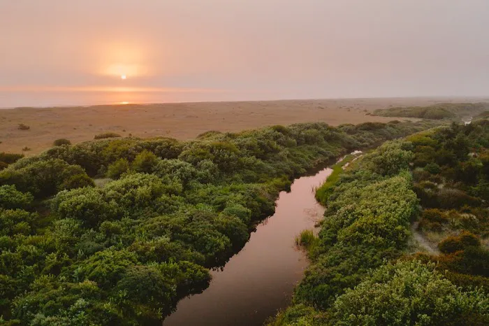 Papa Playa Beach Cabin Rental Picture 3