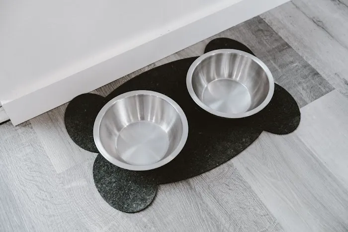 Papa Playa Beach Cabin Rental Picture 9