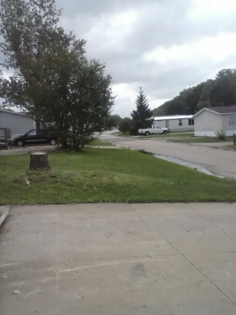 Maple Del Manor Picture 7