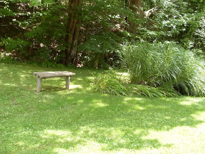 Maple Del Manor Picture 3