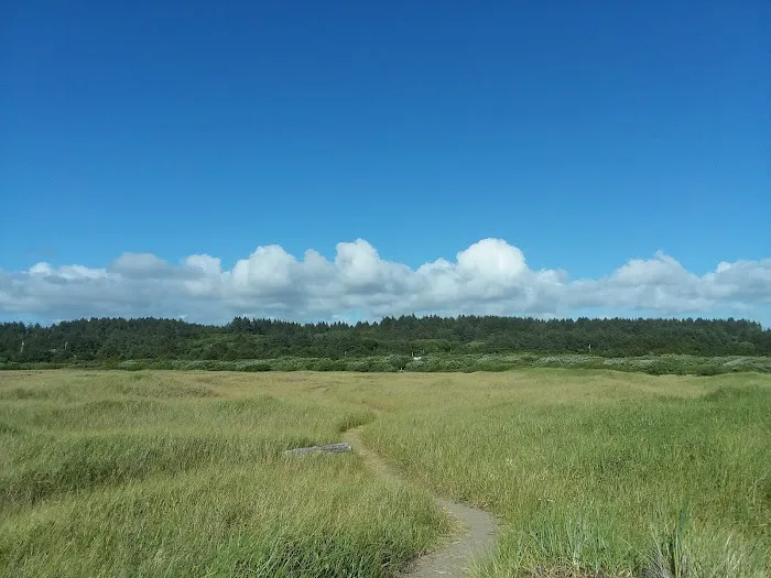 Tidelands Campgrounds Picture 5