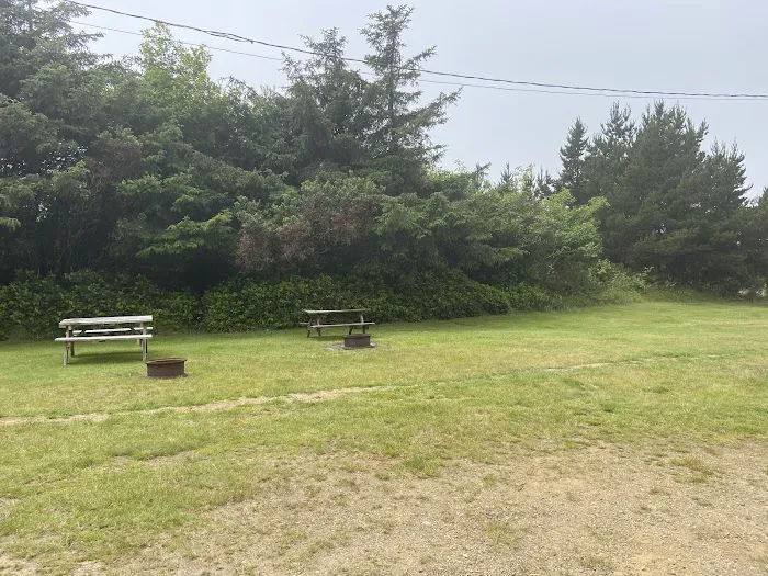 Tidelands Campgrounds Picture 8