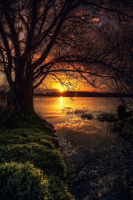 Fun Acres Mobile Home Park Picture 2