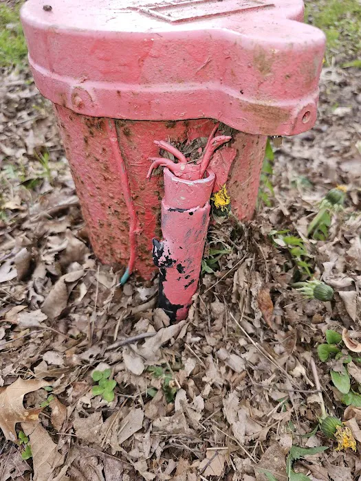 Fun Acres Mobile Home Park Picture 6