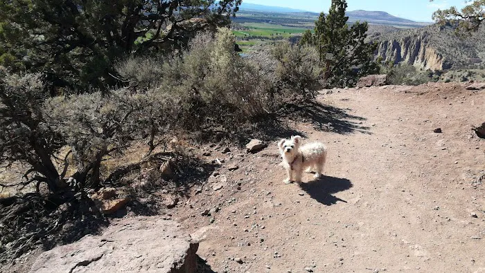 Smith Rock Bivouac Area Picture 10