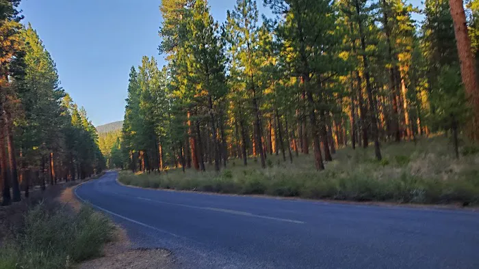 Smiling River Campgrounds Picture 2