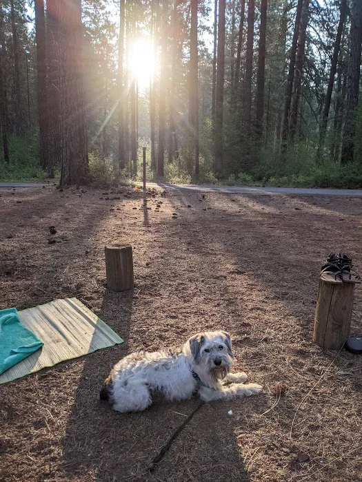 Smiling River Campgrounds Picture 9