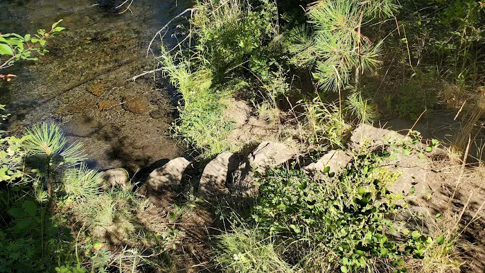 Smiling River Campgrounds Picture 6