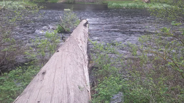 Smiling River Campgrounds Picture 3