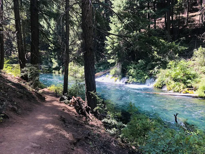 Allingham Campground Picture 3